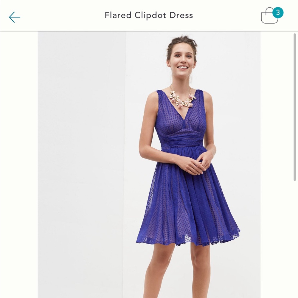 Anthropologie Flared Clip Dot Dress